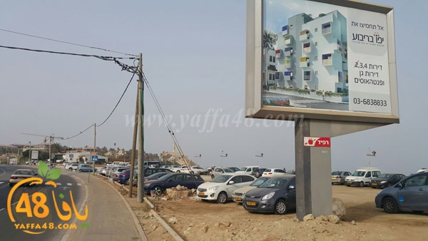 mashrooo3 sakana (1).jpg